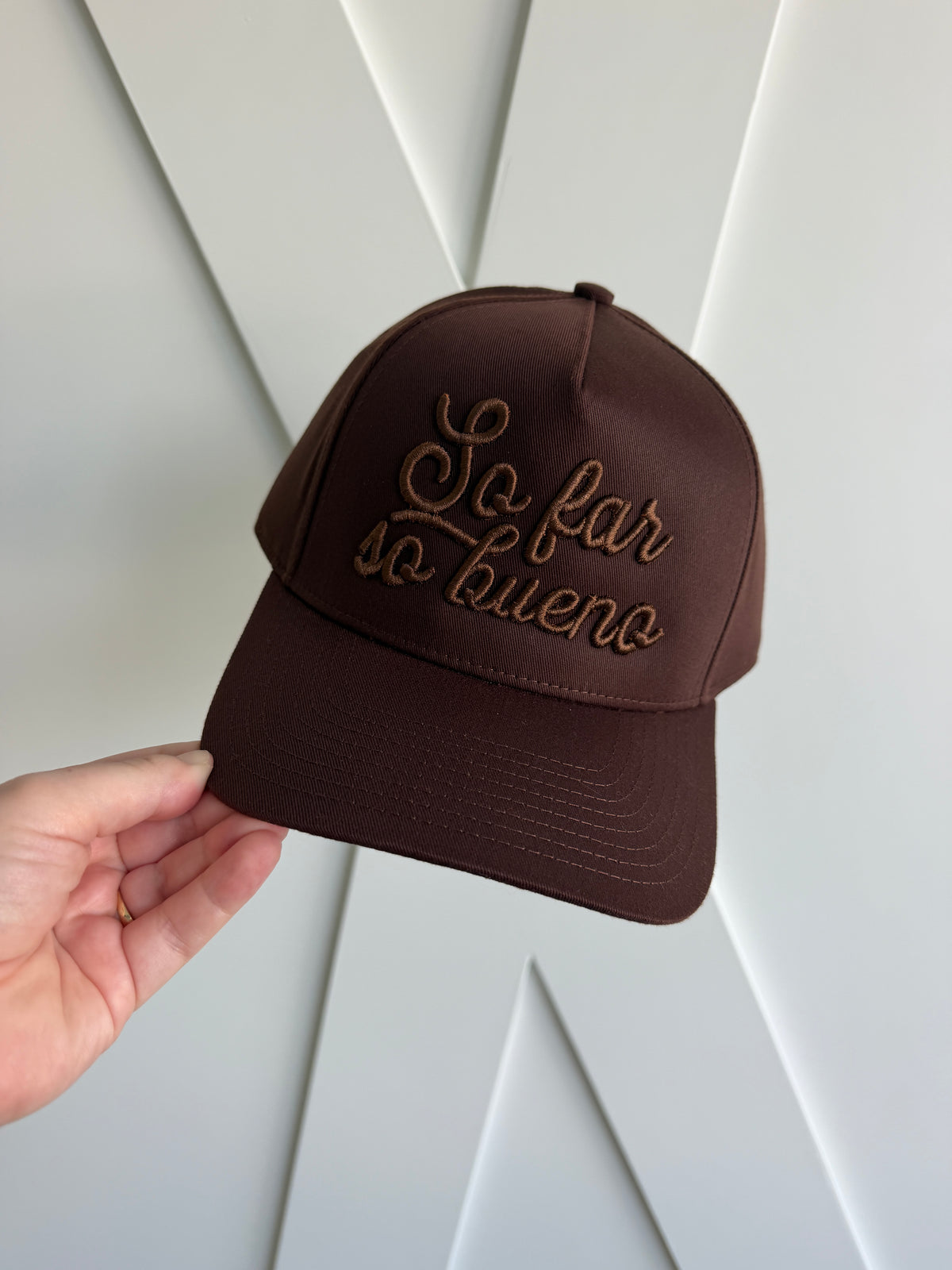 “So Far So Bueno” Trucker